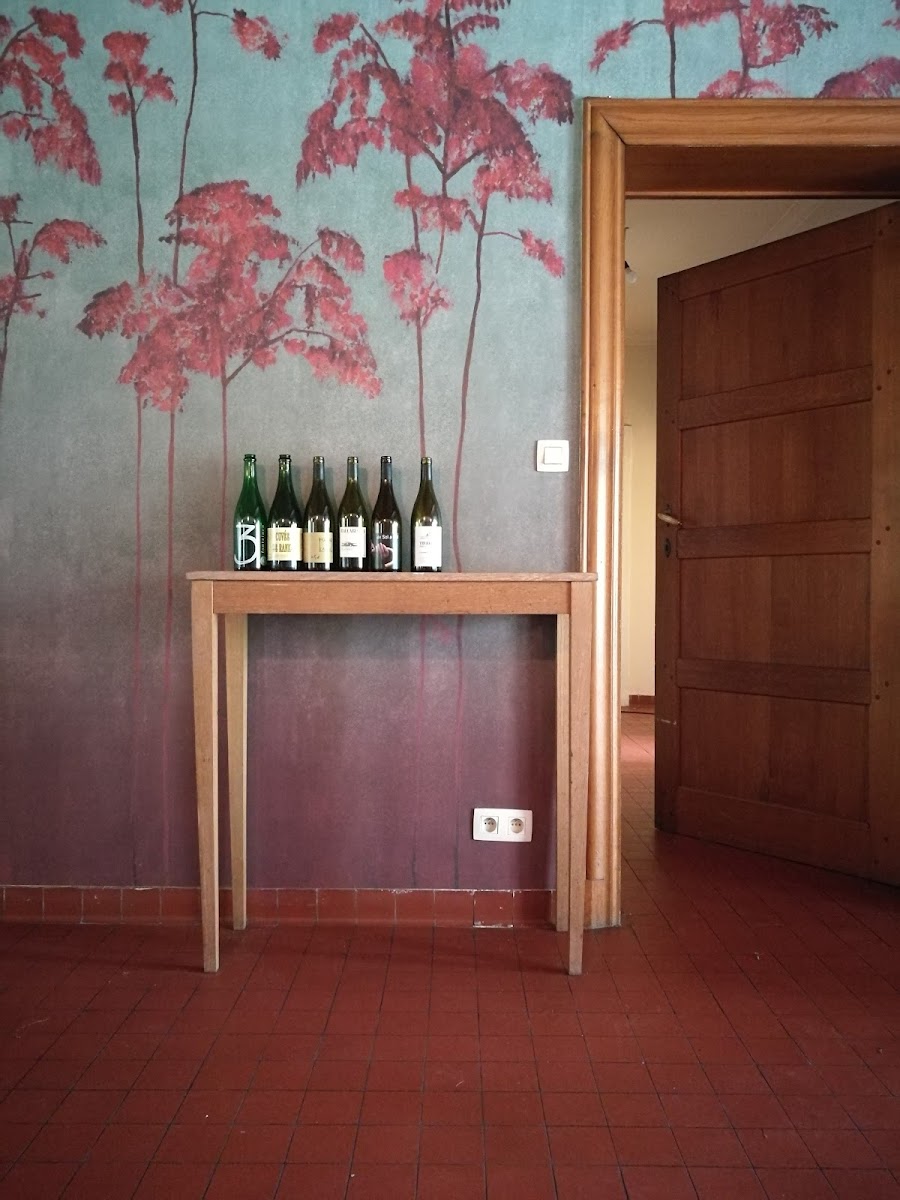 Wilder At The Villa Photos 2